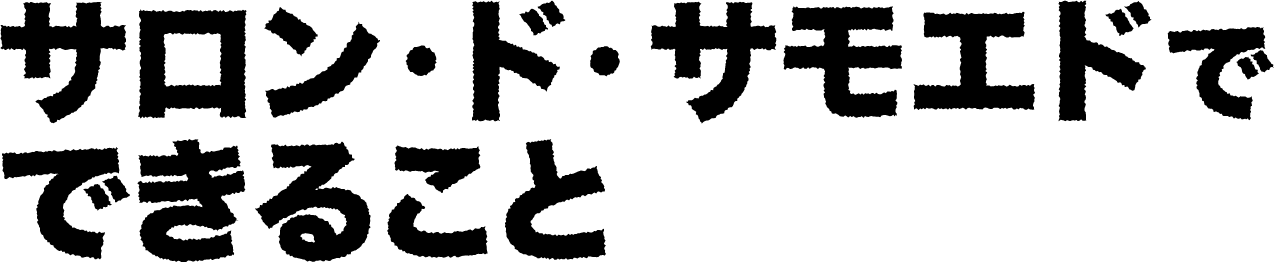 サロン・ド・サモエドでできること